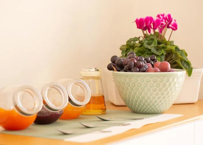 Vishostel Albergue *